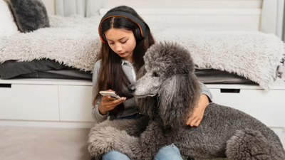 Keeping Your Furry Friend Entertained: 7 Interactive Pet Gadgets They'll Love