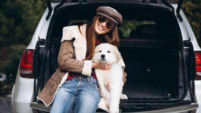 Traveling with Your Pet? 7 Must-Have Essentials for a Stress-Free Journey