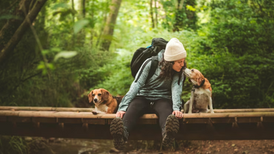 Unleash the Love: Discover Dog Breeds for Adventure, Cuddles, and Joy